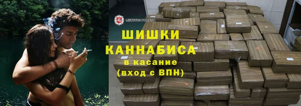 прущие грибы Покровск