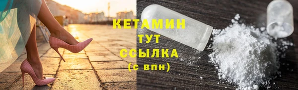 прущие грибы Покровск