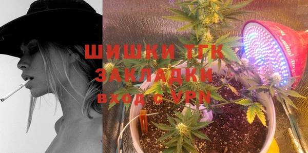 прущие грибы Покровск