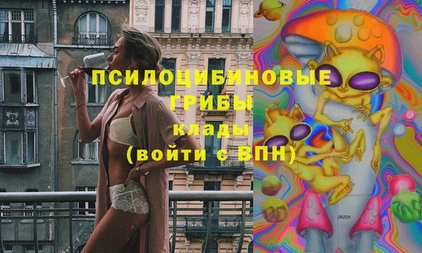 дживик Покачи