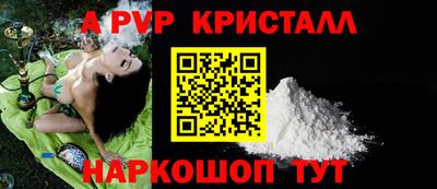 шишки Гай
