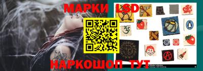 MDMA Гатчина