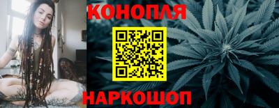 шишки Гай