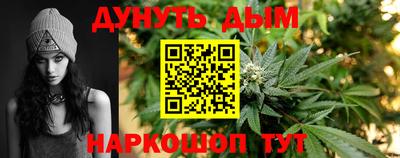 шишки Гай