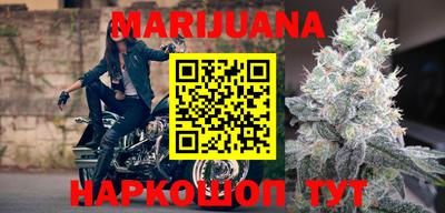 шишки Гай