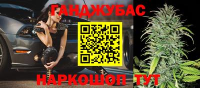 шишки Гай